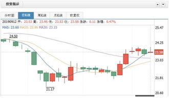 双汇股票如何