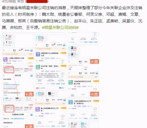 如何查询股票预冻结金额