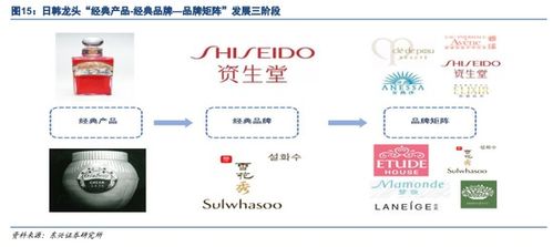 东兴证券怎么样知乎