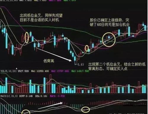 散户如何股票