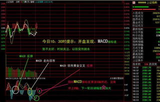 股票如何选股才不会被套 股票如何选股才不会被套