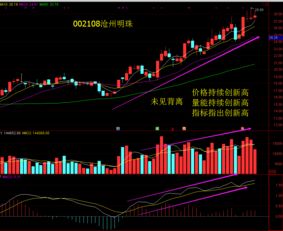 如何发掘上涨股票基金
