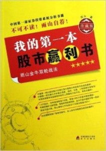 如何写股票盈利情况书
