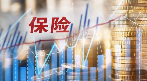 保险和证券怎么投资
