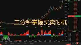 如何看懂股票分类