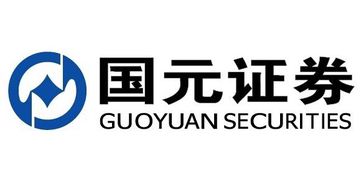 怎么查国元证券