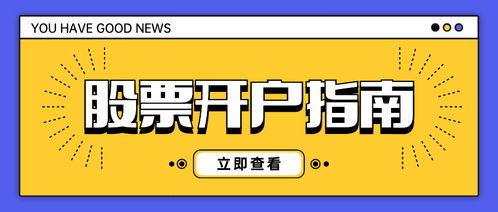 如何写股票账户