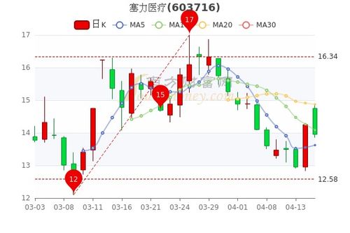 塞力医疗股票的走势如何
