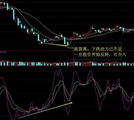 教你如何研究股票