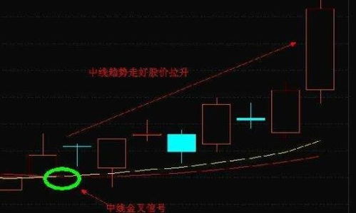 中线股票如何操作