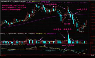 黄昏之星的股票如何买入
