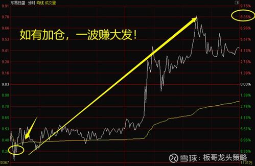 股票亏损如何调仓换股票 股票亏损如何调仓换股票