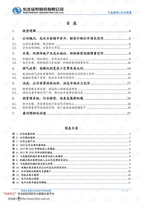 东北证券飞龙股份怎么样