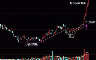 如何挖掘股票潜力
