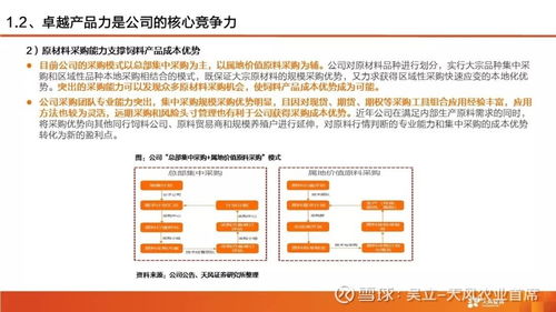 投资证券怎么布局
