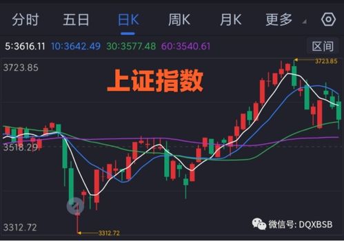 今日大地海洋股票如何 今日大地海洋股票如何