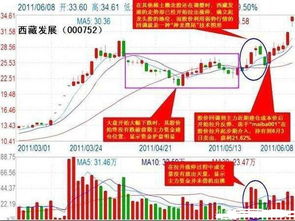 如何节省时间选股票板块