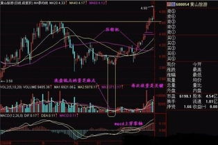 如何看到主力建仓股票 如何看到主力建仓股票