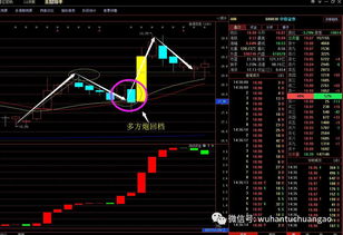 中信证券保利地产怎么样