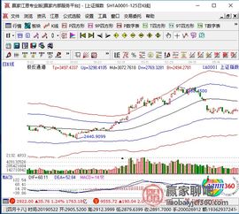 股票下跌后如何应对策略