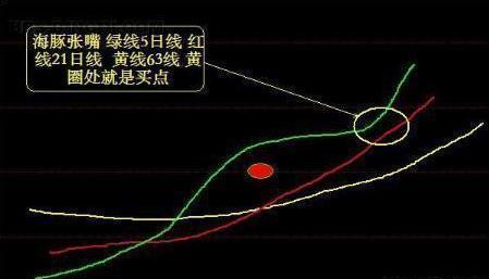 海豚股票如何买入 海豚股票如何买入