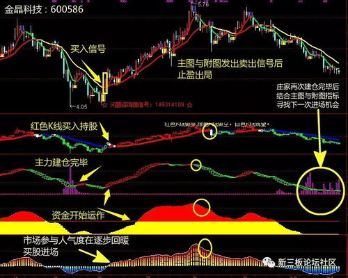 如何看待股票赌徒 如何看待股票赌徒