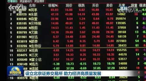 北京交易所股票如何查看