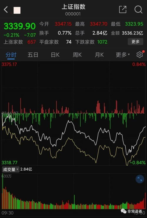 如何查看股票开市价多少 如何查看股票开市价多少