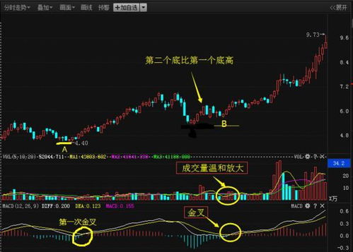 散户如何在股票当中赚钱