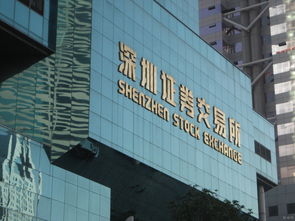怎么开深圳证券