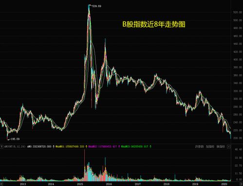 如何购买b股股票