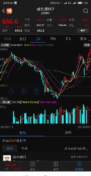 股票如何玩期货 股票如何玩期货