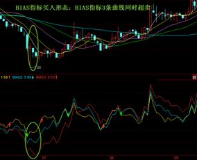 股票第二天如何交易成功