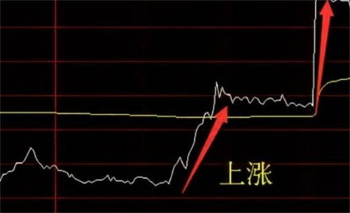 股票如何认识
