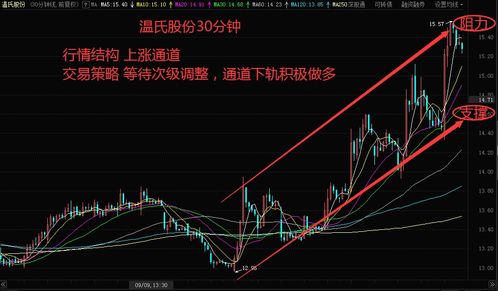 如何看待强势股票行为 如何看待强势股票行为