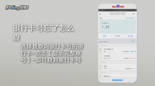 证券号码忘记怎么查询 证券号码忘记怎么查询