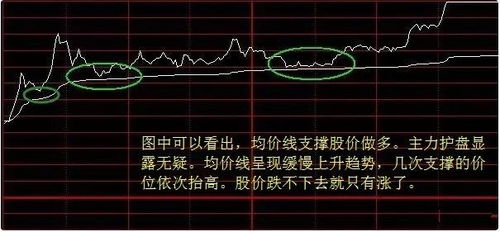 股票小白如何看股票行情