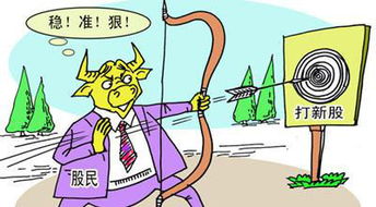年底股票如何打新股