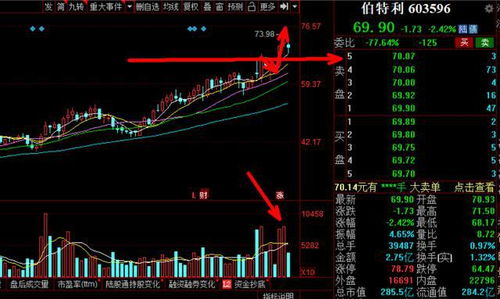 证券股票未来怎么走