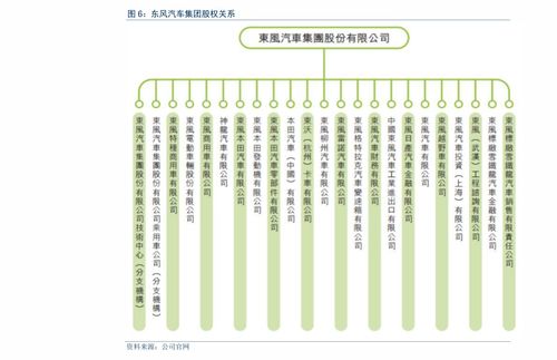 证券服务报道怎么写