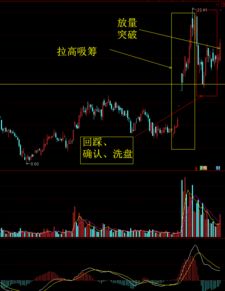 如何选一支好的股票