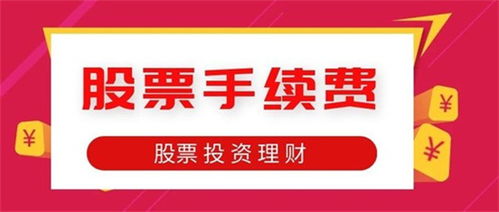 如何参与股票分红