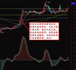 投资高手如何选股票 投资高手如何选股票