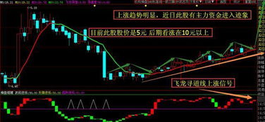 股票主力资金如何看出来