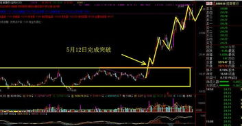 浦发万用金炒股票如何