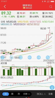 赣锋锂业这只股票如何
