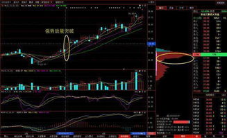 股票如何选择筹码形式