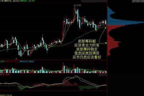 股票如何选择筹码形式