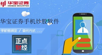 华宝证券怎么搜组合