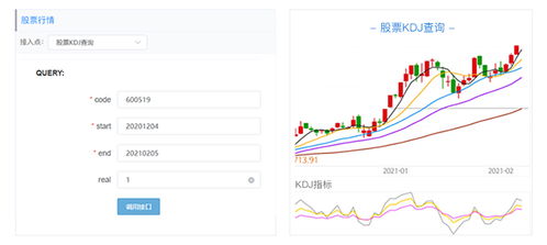如何查个人股票数量